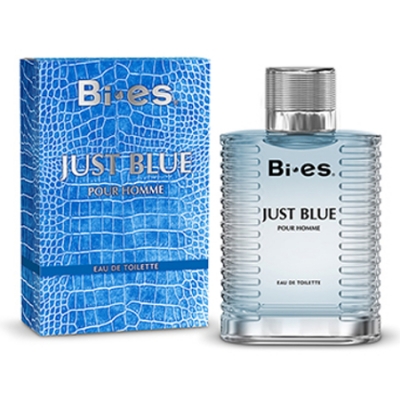 Bi-Es Just Blue Homme - Eau de Toilette fur Herren 100 ml